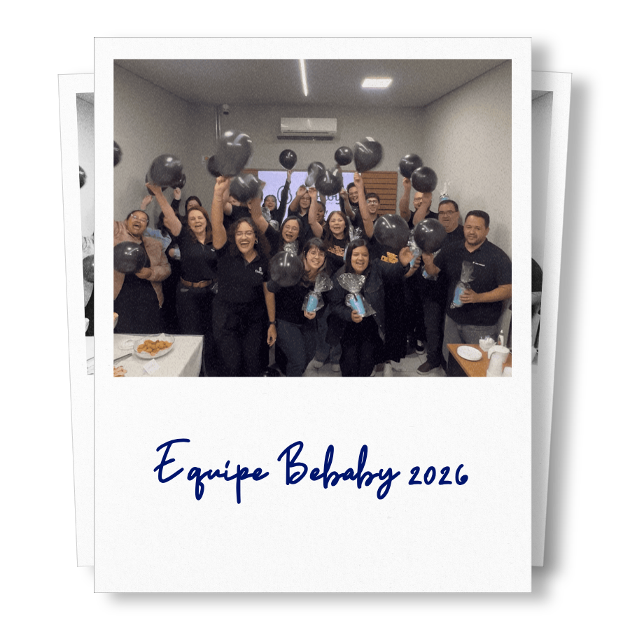 Grupo Bebaby - Nossa Historia